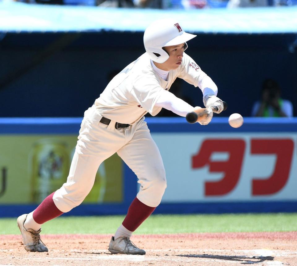 　３回、早実・白仁田は一塁前に先制スクイズを決める（撮影・佐藤厚）