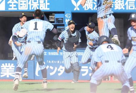 　サヨナラ勝ちを決め喜ぶ東海大相模ナイン（撮影・石井剣太郎）