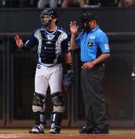 　２回、ボール交換のボールが伊藤に当たってしまい、謝罪する球審（右）＝撮影・中島達哉