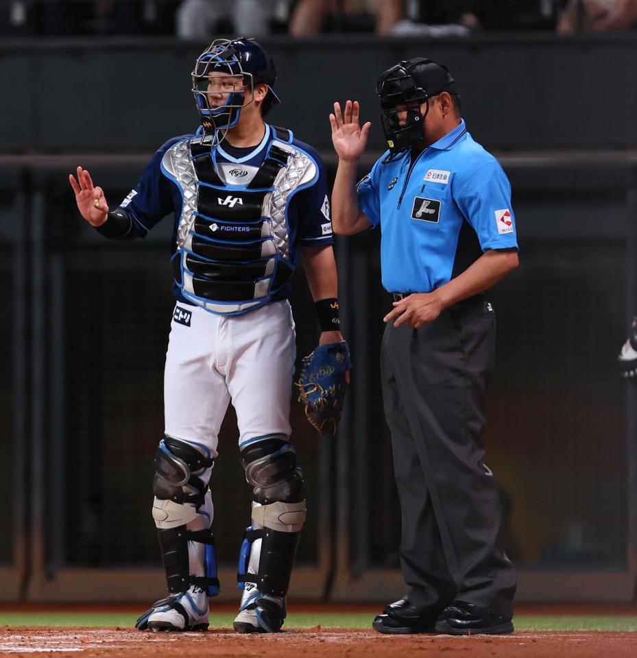 　２回、ボール交換のボールが伊藤に当たってしまい、謝罪する球審（右）＝撮影・中島達哉