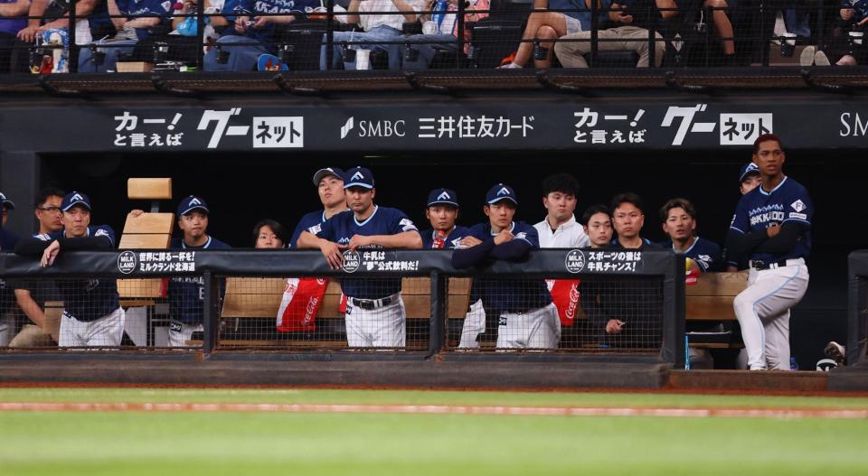 　１１回、戦況を見つめる日本ハムナイン（撮影・中島達哉）