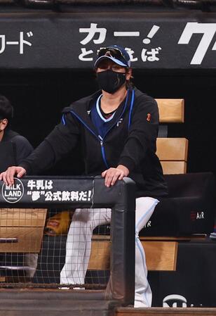 　８回、ベンチで両手をつきながら戦況を見つめる新庄監督（撮影・中島達哉）