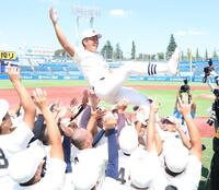 　胴上げされる日大三・本間律輝（撮影・金田祐二）