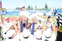 　胴上げされる日大三・本間律輝（撮影・金田祐二）