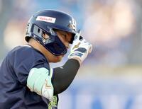 　２回、復帰後初となる先制２ランを放ち、本塁へ向かう村上（撮影・西岡正）