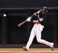 　１回、先頭打者本塁打を放つ周東（撮影・中島達哉）