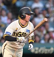 　２回、右前打を放つ近本（撮影・西田忠信）