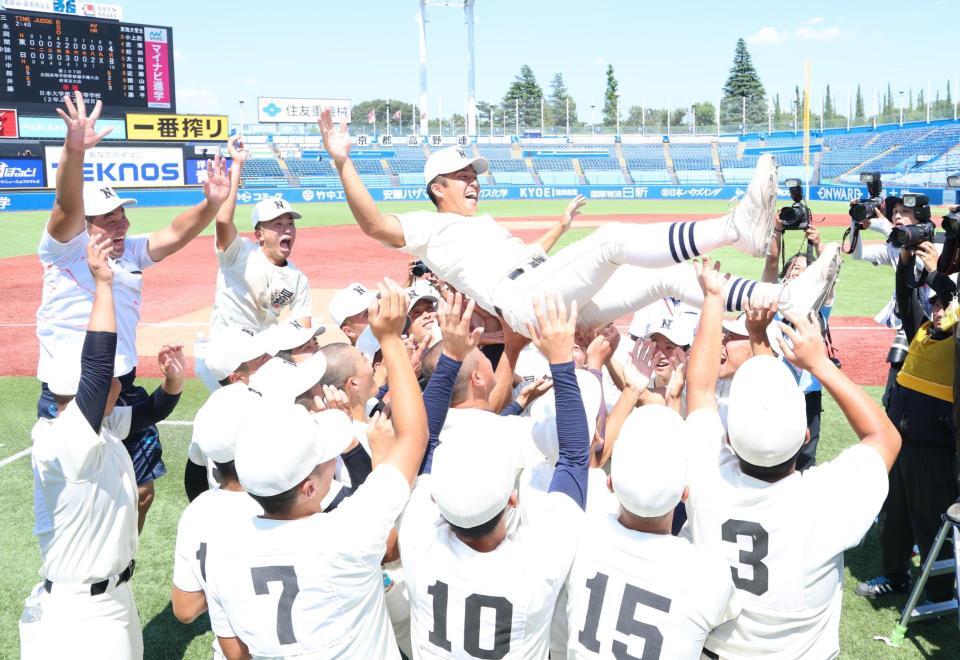 　胴上げされる日大三・本間律輝（撮影・金田祐二）