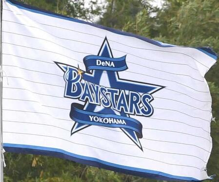 ＤｅＮＡ２軍　横須賀市の津波警報を受け練習を見合わせ　選手は帰宅