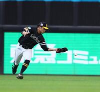 　２回、松本剛の打球を落球する山本（撮影・中島達哉）