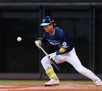 　２回、スクイズを決める水野（撮影・中島達哉）