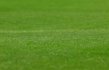 　６回、スプリンクラーが誤作動し、外野の芝生が濡れる（撮影・中島達哉）