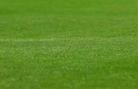 　６回、スプリンクラーが誤作動し、外野の芝生が濡れる（撮影・中島達哉）