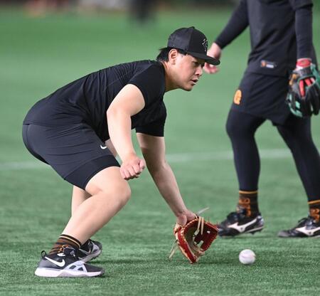 　試合前の練習に現れサードでノックを受ける岡本（撮影・開出牧）