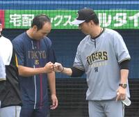 　試合前にタッチを交わす青柳（左）と藤川（撮影・堀内翔）
