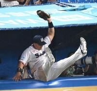 　４回、大山の打球を好捕するヤクルトのオスナ（撮影・堀内翔）