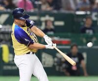 【未開封】「ランディ・ジョンソン #51 モントリオール・エクスポズ」マクファー 未開封】「ランディ・ジョンソン #51 モントリオール