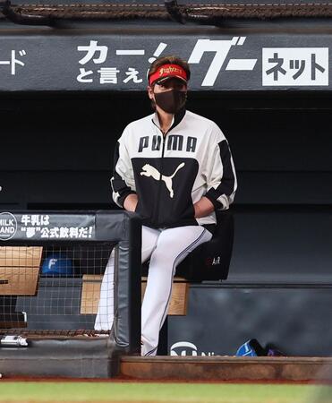 　西武の練習を見守る新庄監督（撮影・中島達哉）