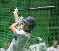 　打撃練習する横浜・阿部葉太（撮影・山口登）