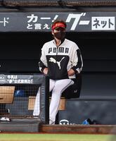 　西武の練習を見守る新庄監督（撮影・中島達哉）