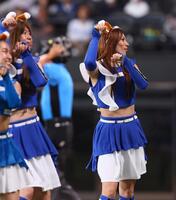 　きつねダンスを踊る金属バット（撮影・中島達哉）