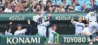 　２回、織田翔希の三塁打に沸く横浜ナイン（撮影・飯室逸平）
