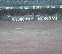 　降雨で中断中の横浜ベンチ（撮影・飯室逸平）