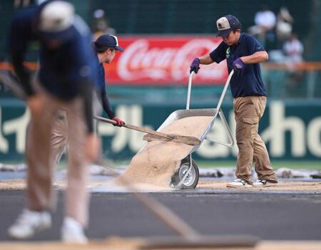 　雨でぬかるんだグラウンドを整備する阪神園芸のスタッフ