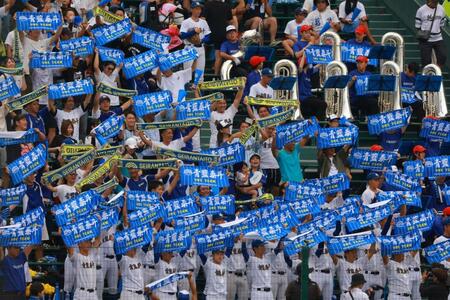 　鮮やかな青のタオルを振って応戦する青藍泰斗アルプス（撮影・石湯恒介）