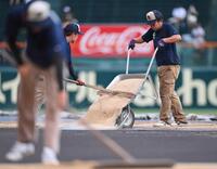 　雨でぬかるんだグラウンドを整備する阪神園芸のスタッフ