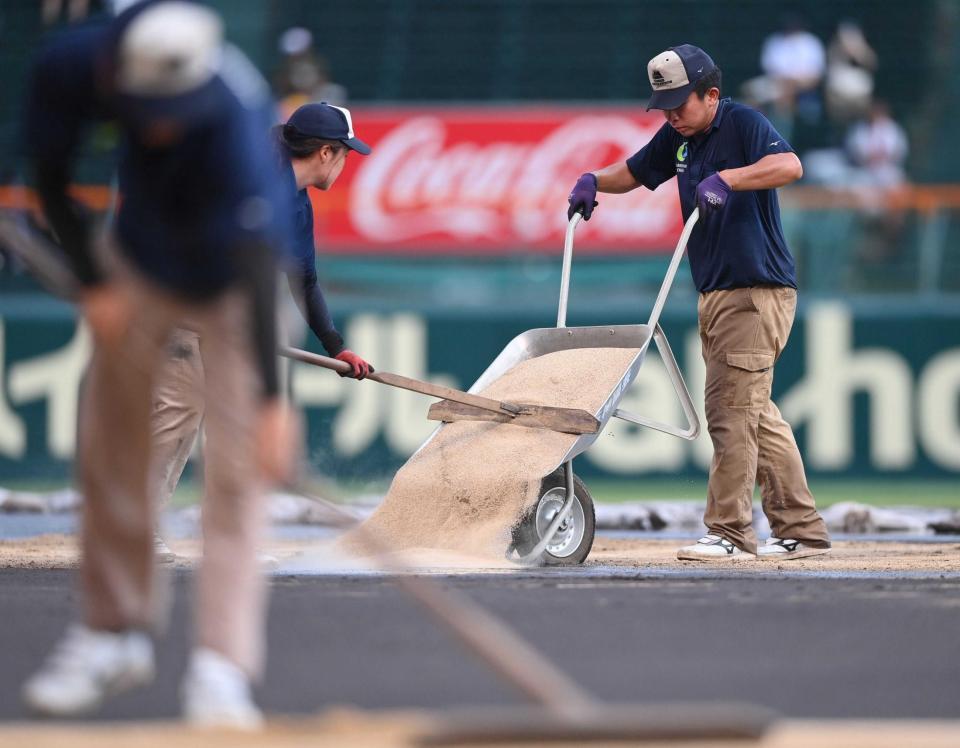 　雨でぬかるんだグラウンドを整備する阪神園芸のスタッフ