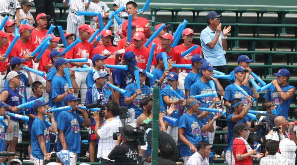 　明秀学園日立の応援団（撮影・中田匡峻）