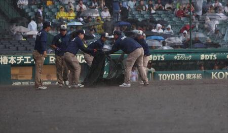 　雨が降り出しシートを敷く阪神園芸（撮影・中田匡峻）
