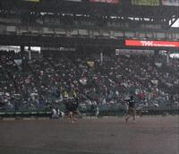 　雨が降り出しグラウンドに出る阪神園芸（撮影・中田匡峻）