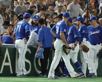 　２回、打球を追って客席に飛び込んだチェイビス（撮影・金田祐二）