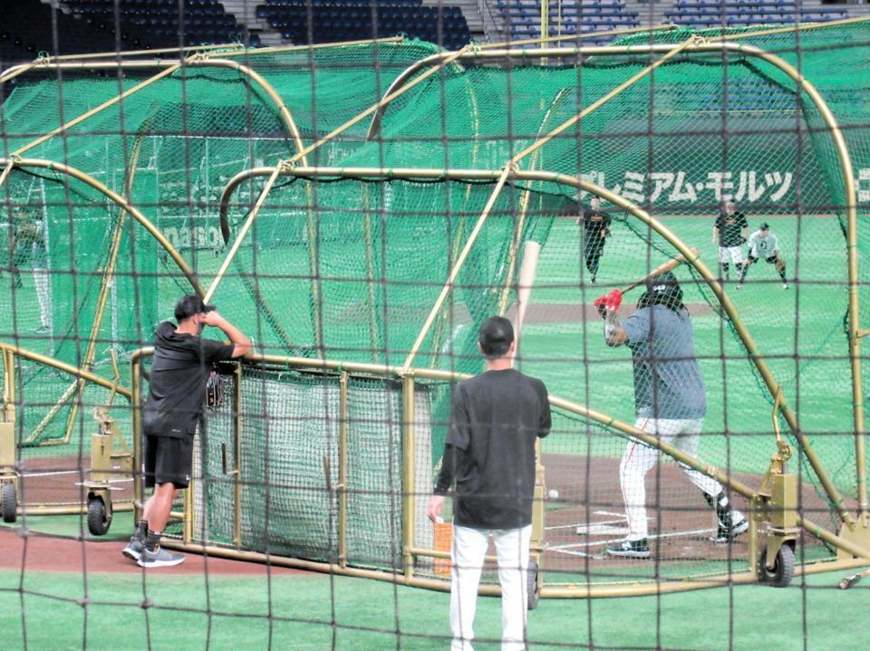 　フリー打撃を行うフェリス　左は見守る阿部監督