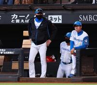 　２回、有薗の打席を立って見つめる新庄監督（左）＝撮影・中島達哉