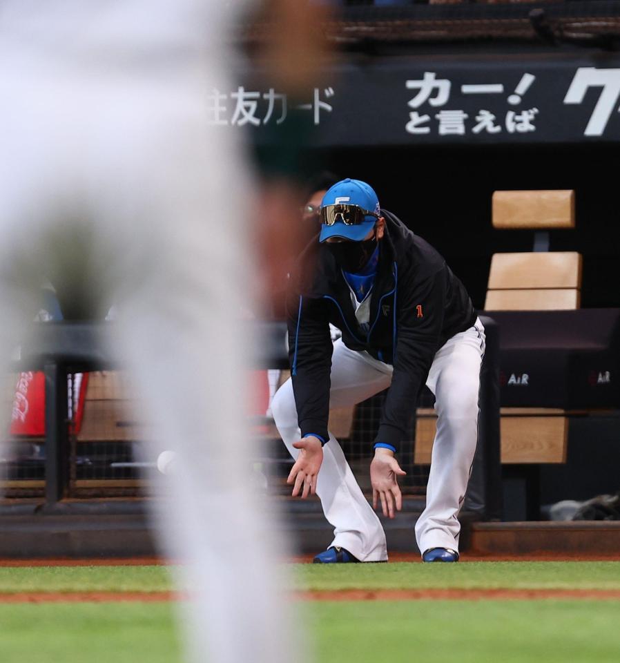 　２回、プロ初安打を放った有薗の記念球を回収する新庄監督（撮影・中島達哉）