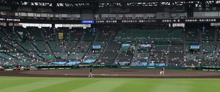 　グラウンドを確認する阪神園芸のスタッフら（撮影・中田匡峻）