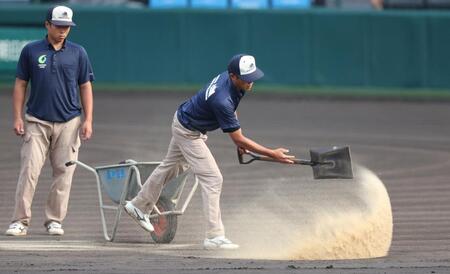 　グランドに砂をまく阪神園芸のスタッフ（撮影・中田匡峻）