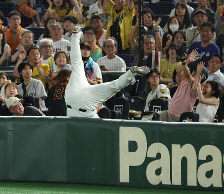　２回、伊藤将のファウルフライを追って客席に飛び込むリチャード（撮影・金田祐二）