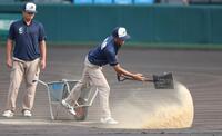 　グランドに砂をまく阪神園芸のスタッフ（撮影・中田匡峻）