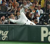　２回、伊藤将のファウルフライを追って客席に飛び込むリチャード（撮影・金田祐二）