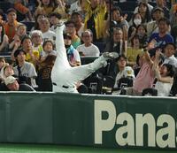 　２回、伊藤将のファウルフライを追って客席に飛び込むリチャード（撮影・金田祐二）