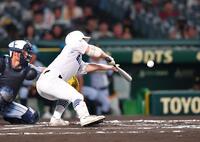 　６回、送りバントを決める県岐阜商・横山温大（撮影・開出牧）