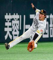 　６回、高部の飛球を好捕する左翼手・井上