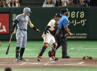 　４回、空振りしたバットが岸田に直撃し謝る佐藤輝（撮影・金田祐二）