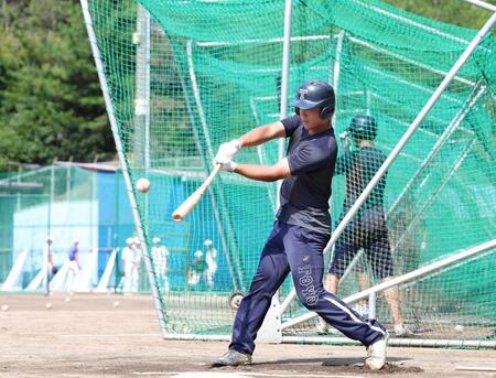 　打撃練習をする白鳥翔哉真ら東洋大姫路ナイン（撮影・中田匡峻）
