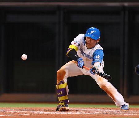 　７回、送りバントを試みる田宮（撮影・中島達哉）