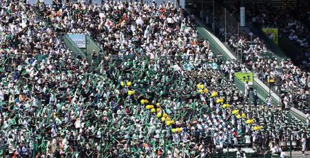 　盛り上がる沖縄尚学のアルプス席（撮影・中田匡峻）